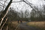 IMG_7796