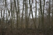 IMG_7994