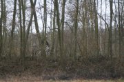 IMG_7995
