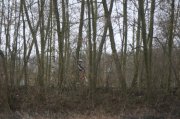 IMG_7996