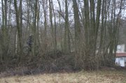 IMG_8002